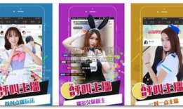 91b站直播,精彩瞬间回顾，带你领略网络直播的魅力